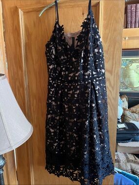 City Chic Black Lace Midi Dress with Nude Lining